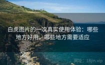 白虎图片的一次真实使用体验：哪些地方好用，哪些地方需要适应