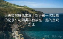 天美蜜桃麻花果冻｜新手第一次接触的记录：与同类平台放在一起的直观对比