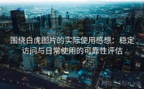 围绕白虎图片的实际使用感想：稳定访问与日常使用的可靠性评估