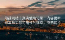 蘑菇网站｜真实使用记录：内容更新频率与实际可用性的观察，蘑菇网片