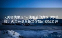 天美密桃果冻mv使用后的直观印象整理：内容分类与推荐逻辑的理解笔记