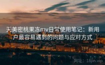 天美密桃果冻mv日常使用笔记：新用户最容易遇到的问题与应对方式