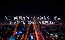 关于白虎图片的个人体验备忘：哪些地方好用，哪些地方需要适应