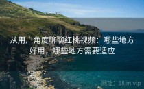 从用户角度聊聊红桃视频：哪些地方好用，哪些地方需要适应