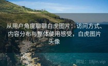 从用户角度聊聊白虎图片：访问方式、内容分布与整体使用感受，白虎图片头像