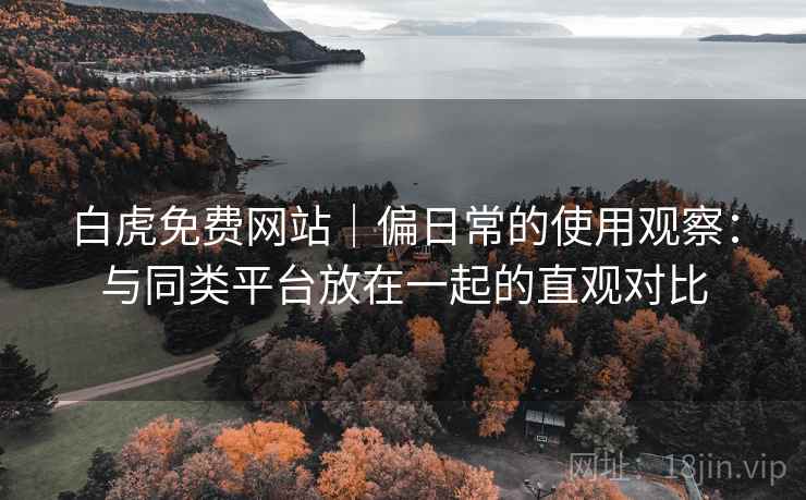 白虎免费网站｜偏日常的使用观察：与同类平台放在一起的直观对比  第2张
