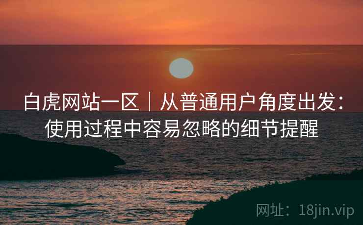 白虎网站一区|从普通用户角度出发:使用过程中容易忽略的细节提醒 第2张 白虎网站一区|从普通用户角度出发:使用过程中容易忽略的细节提醒 第2张
