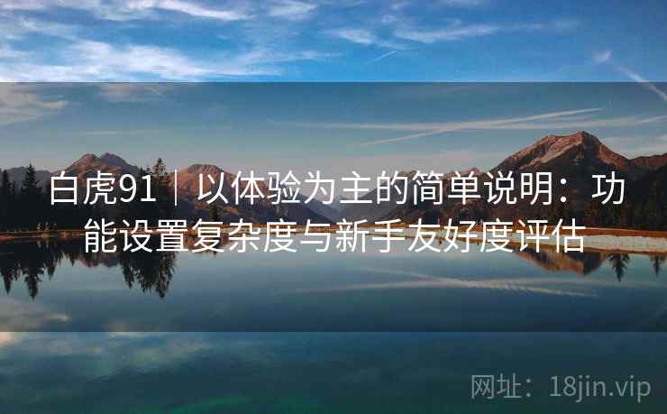 白虎91｜以体验为主的简单说明：功能设置复杂度与新手友好度评估  第1张