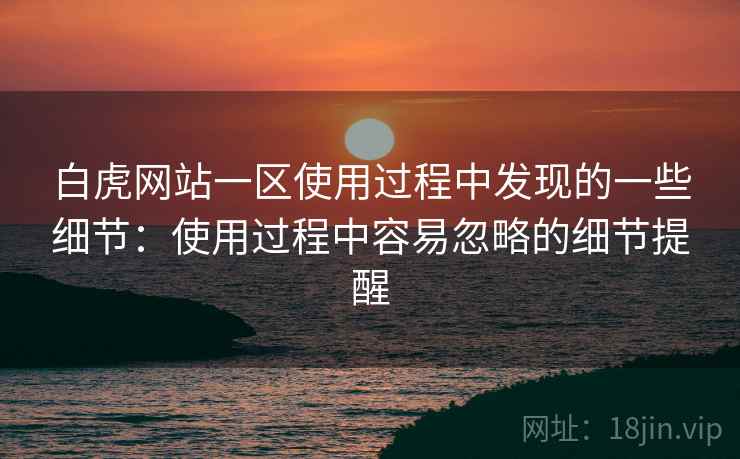 白虎网站一区使用过程中发现的一些细节：使用过程中容易忽略的细节提醒  第1张