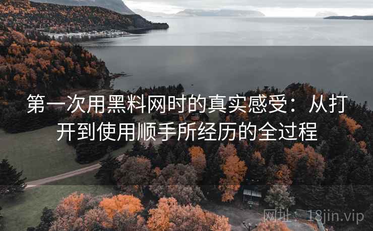 第一次用黑料网时的真实感受:从打开到使用顺手所经历的全过程 第2张 第一次用黑料网时的真实感受:从打开到使用顺手所经历的全过程 第2张