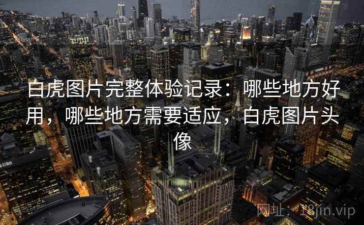白虎图片完整体验记录：哪些地方好用，哪些地方需要适应，白虎图片头像  第1张