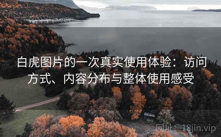白虎图片的一次真实使用体验：访问方式、内容分布与整体使用感受  第1张