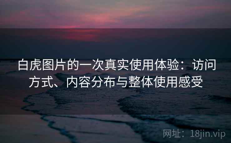 白虎图片的一次真实使用体验：访问方式、内容分布与整体使用感受  第2张