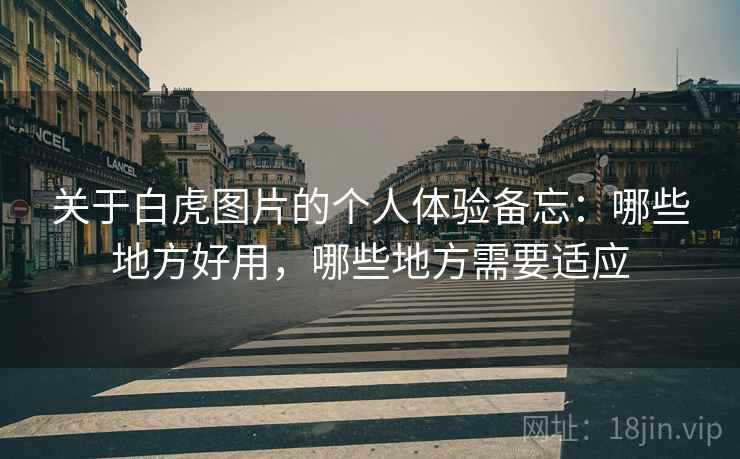 关于白虎图片的个人体验备忘:哪些地方好用,哪些地方需要适应 第2张 关于白虎图片的个人体验备忘:哪些地方好用,哪些地方需要适应 第2张
