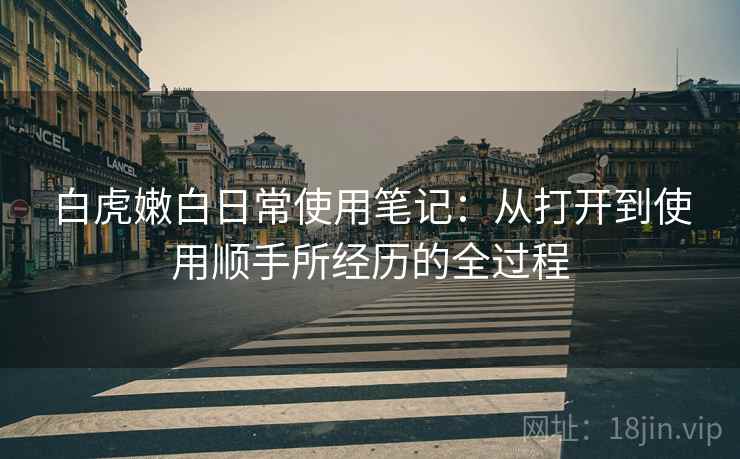 白虎嫩白日常使用笔记:从打开到使用顺手所经历的全过程 第1张 白虎嫩白日常使用笔记:从打开到使用顺手所经历的全过程 第1张