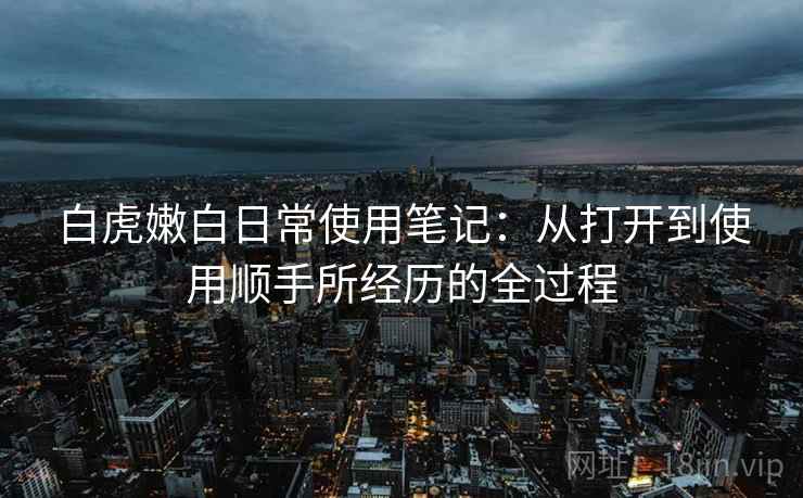 白虎嫩白日常使用笔记:从打开到使用顺手所经历的全过程 第2张 白虎嫩白日常使用笔记:从打开到使用顺手所经历的全过程 第2张