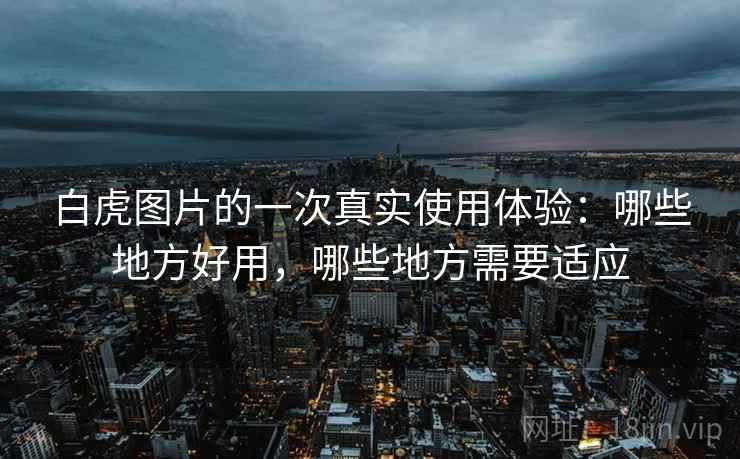 白虎图片的一次真实使用体验:哪些地方好用,哪些地方需要适应 第2张 白虎图片的一次真实使用体验:哪些地方好用,哪些地方需要适应 第2张
