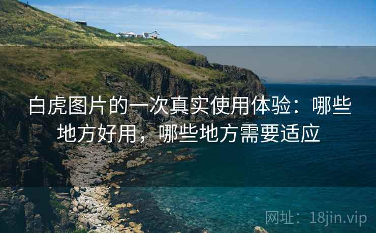 白虎图片的一次真实使用体验:哪些地方好用,哪些地方需要适应 第1张 白虎图片的一次真实使用体验:哪些地方好用,哪些地方需要适应 第1张