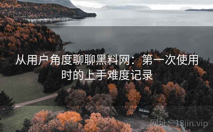 从用户角度聊聊黑料网：第一次使用时的上手难度记录  第2张