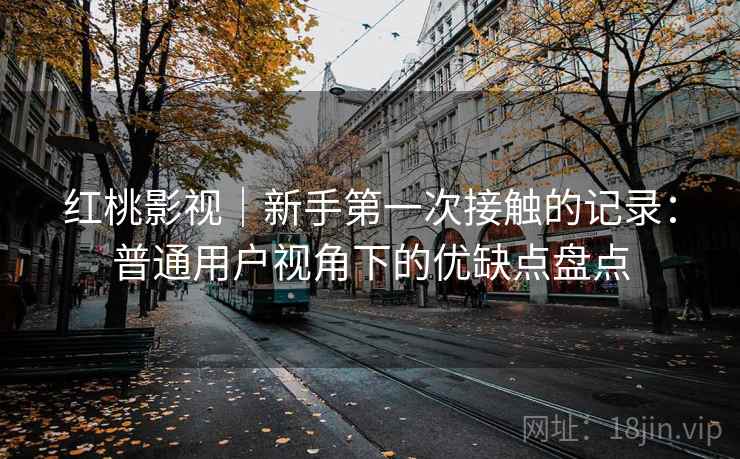 红桃影视|新手第一次接触的记录:普通用户视角下的优缺点盘点 第2张 红桃影视|新手第一次接触的记录:普通用户视角下的优缺点盘点 第2张