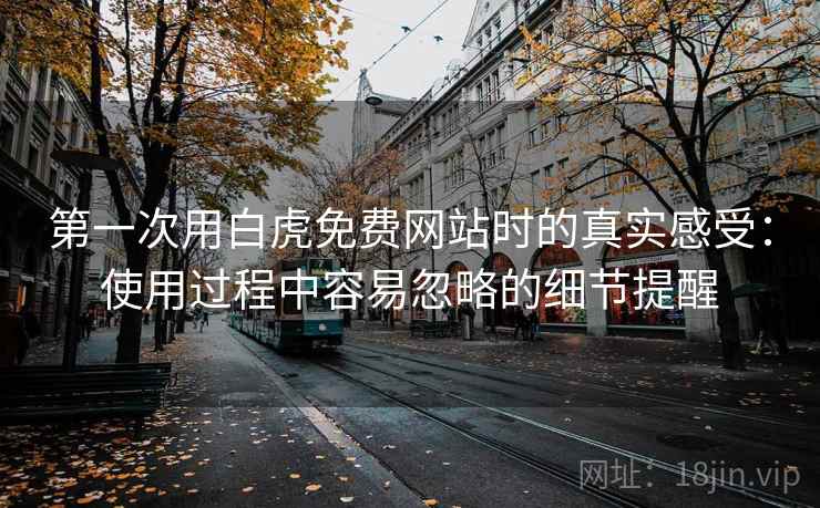 第一次用白虎免费网站时的真实感受:使用过程中容易忽略的细节提醒 第2张 第一次用白虎免费网站时的真实感受:使用过程中容易忽略的细节提醒 第2张
