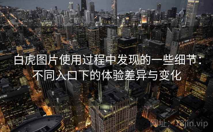 白虎图片使用过程中发现的一些细节:不同入口下的体验差异与变化 第2张 白虎图片使用过程中发现的一些细节:不同入口下的体验差异与变化 第2张